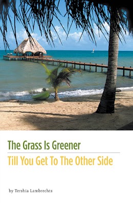 The Grass Is Greener Till You Get To The Other Side cover