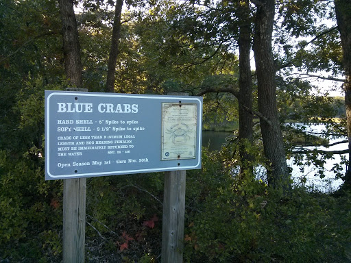 Rocky Neck State Park - Blue Crabs