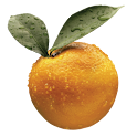 CYC Mobile logo