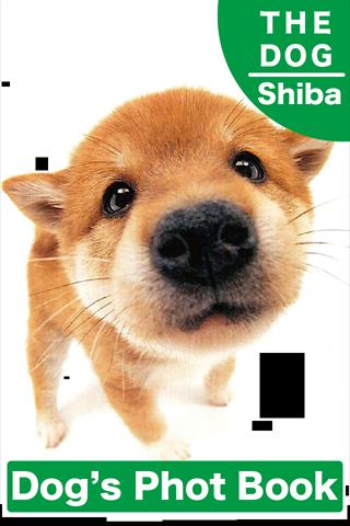 THE DOG Photo Book Shiba