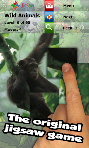 益智野生動物