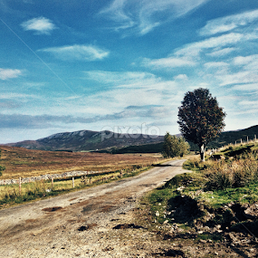 Skye by Alina Jumabhoy - Instagram & Mobile iPhone
