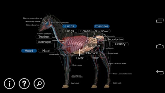 How to mod Horse Anatomy: Equine 3D patch 1.0.1 apk for pc
