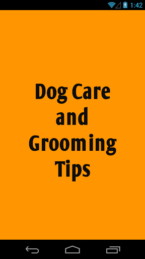 Dog Care and Grooming Tips