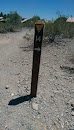 14 Desert classic trail