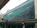 Whale Mural 
