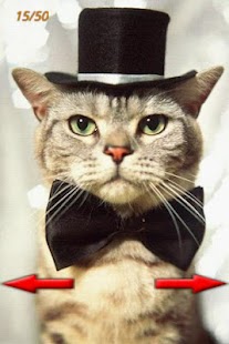 LOL Cats 2 Screenshots 4