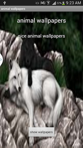 1- Animals wallpaper 2014