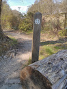 Lomond Thistle Trail Marker