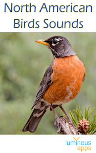 North American Birds Sounds Screenshots 16