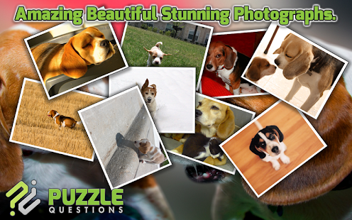 How to get Beagle Dog Puzzle Games 3.1.5 apk for laptop
