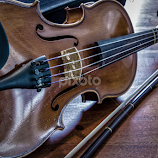 Violin & Bow by Carol Plummer -  