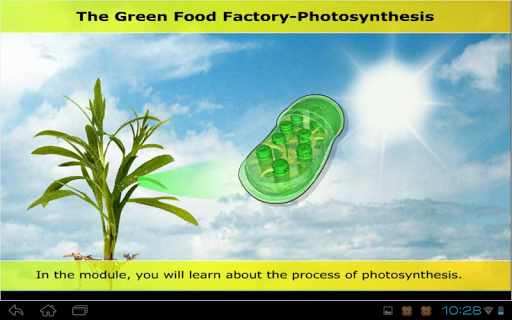 【免費教育App】Photosynthesis & reactions-APP點子