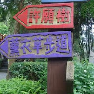 薰衣草森林(新竹尖石店)