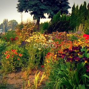 Soap Lake Garden by Julia Arredondo - Nature Up Close Gardens & Produce