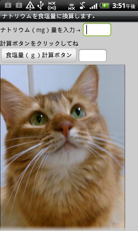 Android application 看護師がつくった塩分計算機 screenshort