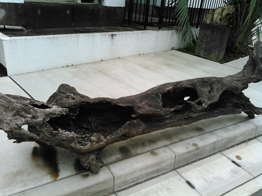 Portal - 流木のベンチ