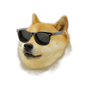 Doge Weather Widget icon