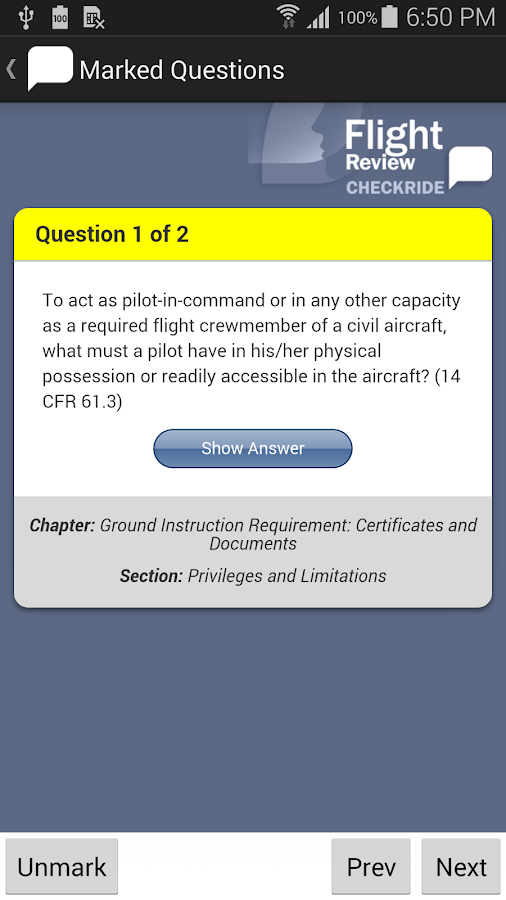 Flight Review Checkride - screenshot