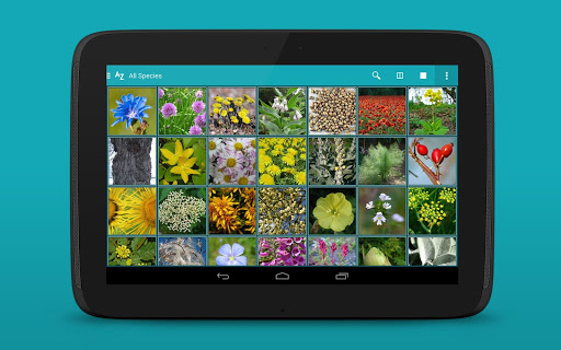 免費下載書籍APP|iKnow Medicinal Plants 2 PRO app開箱文|APP開箱王