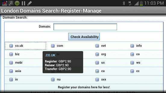 LondonDomains.net Portal Screenshots 2
