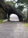 Tunnel at Kadugannawa
