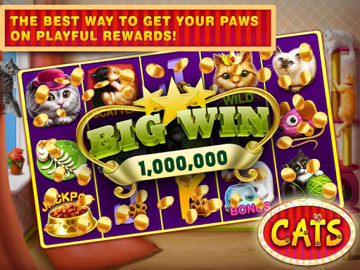 【免費博奕App】Cats Slots Casino Vegas Free-APP點子