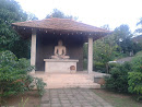 Buddha Statue Peradeniya Hospital