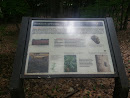 Invasive Species Panel