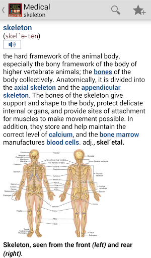 Dorland’s Medical Dictionary