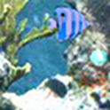 ACE: Under the sea logo