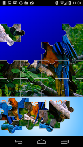 Fantastic Jigsaw Puzzler