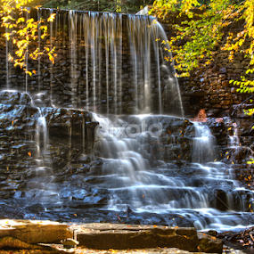 At Hickory Run State Park by Dave Martin - Nature Up Close Water