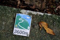 IMG_0115