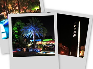 collage13