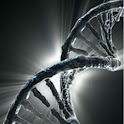 Live Wallpaper - DNA