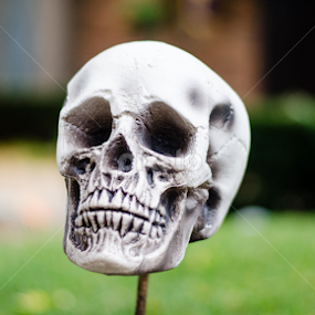 Skull on a Stick by Angelo Perrino - Public Holidays Halloween