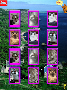 Kitty Match Screenshots 1