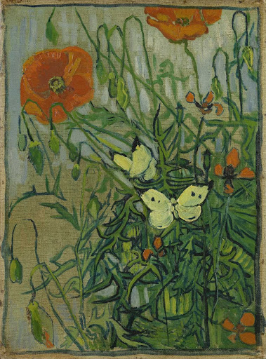 Butterflies and poppies