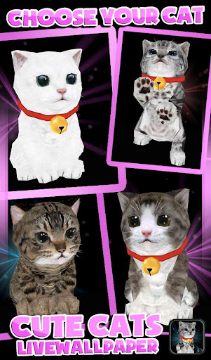 【免費個人化App】Fluffy Cat Pet 3D HD - free-APP點子