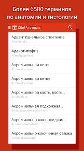 Lastest 💀 Анатомия человека словарь APK for Android