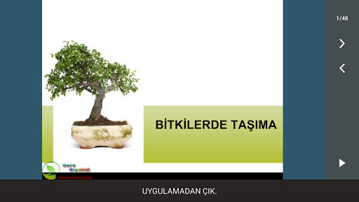 Bitkilerde Taşıma