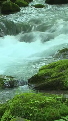 River Flow Live WallPaper