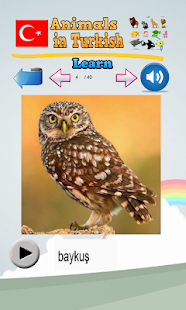 download Pelajari hewan di Turki free
