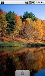 Free Autumn Live Wallpaper APK