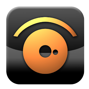iView DVR 1.1.14