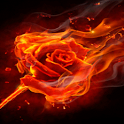 Rose Of Fires Live Wallpaper