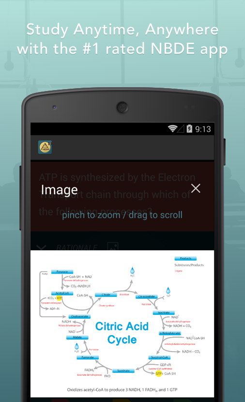 Dental Boards Mastery NBDE I Android Apps on Google Play