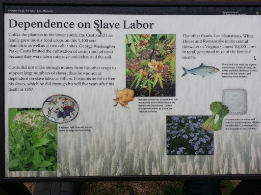 Dependence on Slave Labor