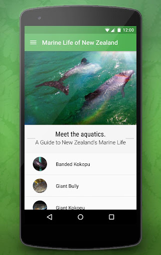 Marine Life of New Zealand